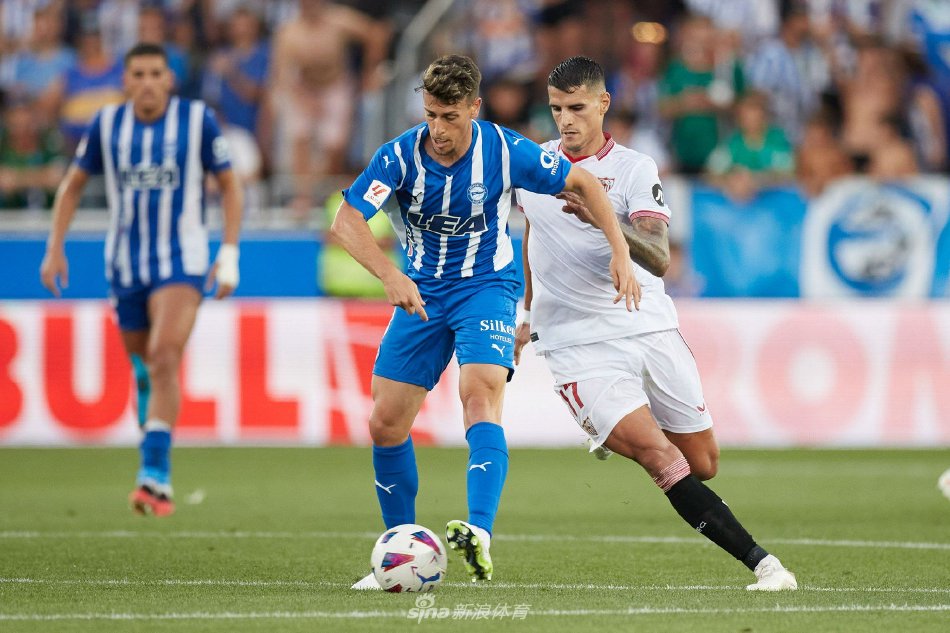 迷们期待 迷们期待